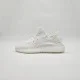 Adidas Yeezy Boost 350 V2 