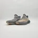 Adidas Yeezy Boost 350 V2 Adidas Yeezy Boost 350 V2