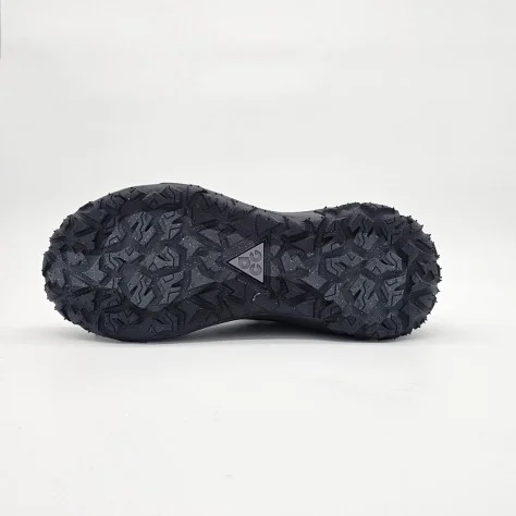 Nike ACG Mountain Fly 2 Low Gore-Tex